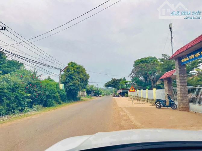 ĐẤT THỔ CƯ MẶT TIỀN ĐƯỜNG BÊ TÔNG RỘNG GIÁ CHỈ 345 TRIỆU - 2