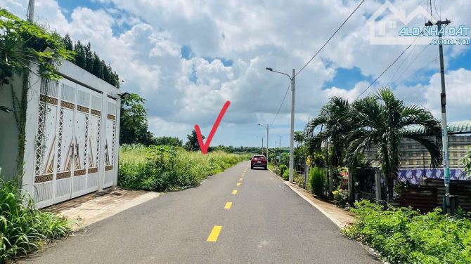 Siêu rẻ đẹp làm nhà vườn- trung tâm thị trấn Đất Đỏ 👉👉 VT1: 564m2 (18x26m) phủ hồng Nở h - 3
