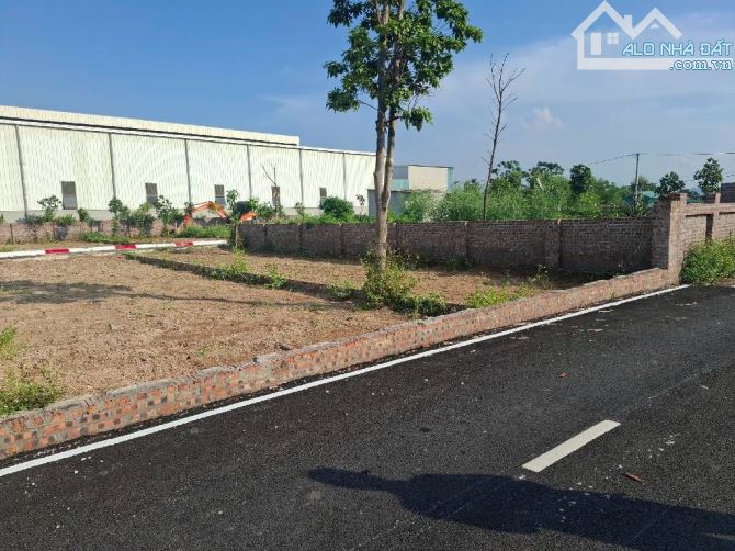 💥💥ĐẤT ĐẸP FULL THỔ CƯ – 2 MẶT TIỀN Ô TÔ TRÁNH – GẦN SÂN GOLF MINH TRÍ💥💥 - 3