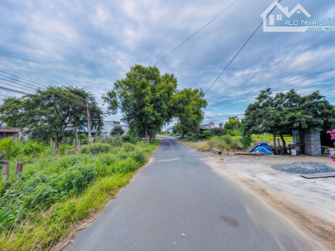 🌟 BÁN ĐẤT - MẶT TIỀN NGUYỄN THÔNG - (5 x 45) - 1 TỶ 200 TRIỆU 🌾 - 3