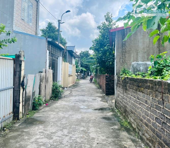 Bán đất 57,3m²  trung tâm Phường Hùng Vương – Hồng Bàng – Hải Phòng, giá chỉ 1,75 tỷ - 3