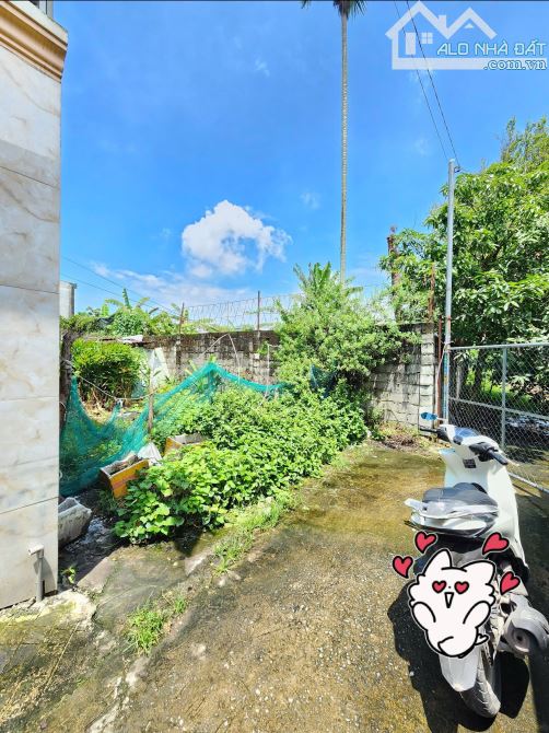 2,33Tỷ TL🔥Bán đất 81,5m2 cách đường Chùa Tân Long 30m, P.Tân Bình, Tp.Dĩ An - 3