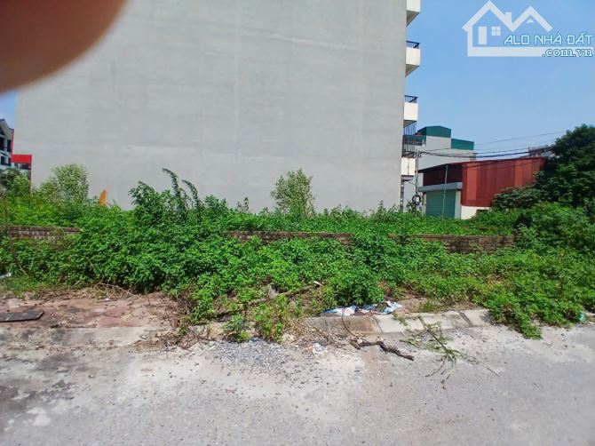 Bán đất dịch vụ Thăng Long 9, diện tích nhỏ xinh, mặt tiền 4.3m. - 3