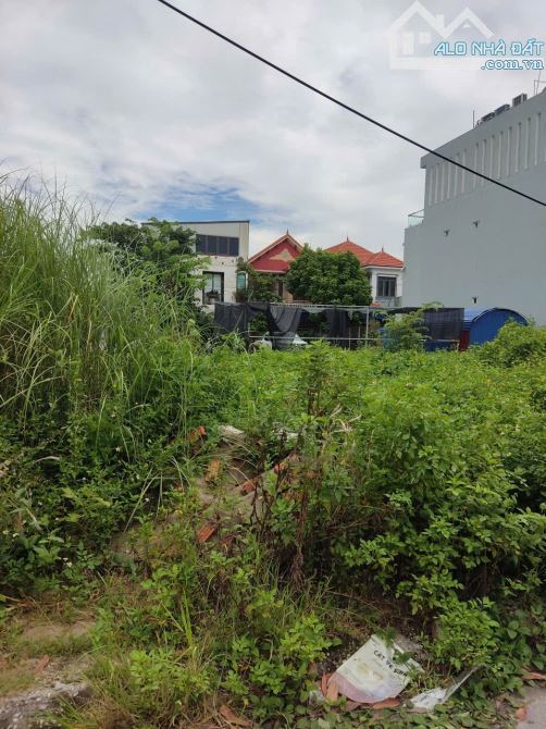 Lô đất đẹp khu dân cư Bấc Vang Dương Quân - 3