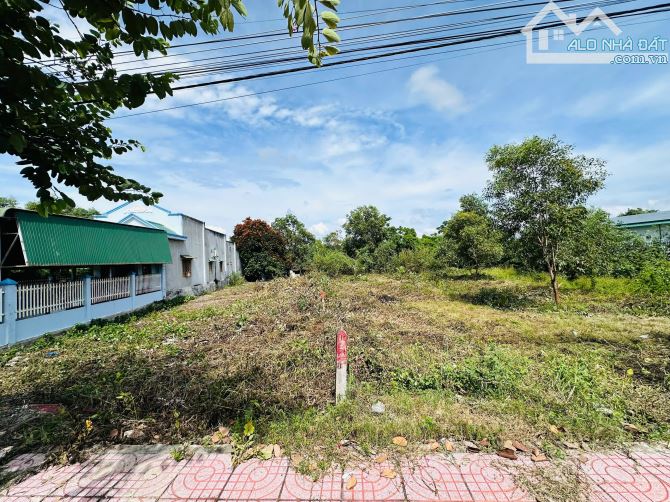 Cần Bán Gấp Mặt Tiền Nguyễn Du LaGi 11,5x32(470m2) Giá Cực Rẻ Gần Biển - 3