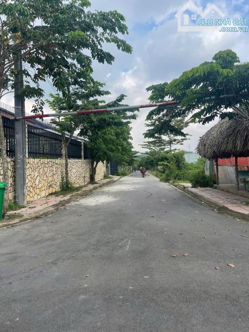 💥 Bán Đất Lô Góc 118,5m² - Mặt Tiền Đường Nhựa, Trảng Bom, Đồng Nai 💥 - 3