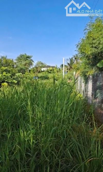 320tr b.á.n đất tại Phường Sơn Qui , Đồng Tháp mới - 3