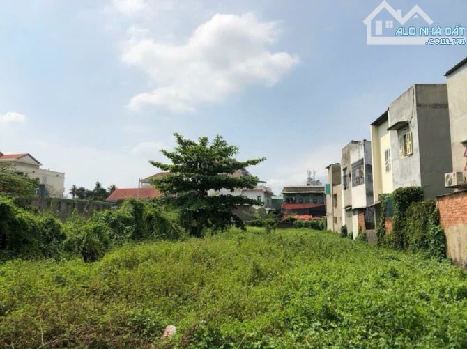 ĐẤT FULL THỔ CƯ MẶT TIỀN đường Thạnh Lộc 22 phường THẠNH LỘC, Q12, dt 1047m2 (15,5mx75m) - 3