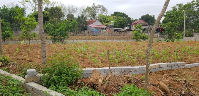 Bán đất Mẹt, Hữu Lũng, Lạng Sơn, dt: 433m2, giá: 3.6 tỷ, mt: 15m, lô góc, sẵn thổ cư - 3