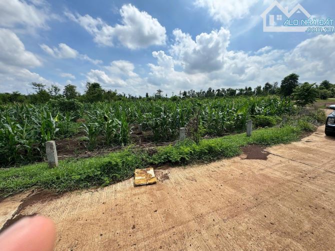 Đất 1.1 sào gần Tỉnh Lộ 2 xã Hoà Khánh gần đường Tránh Đông - 3