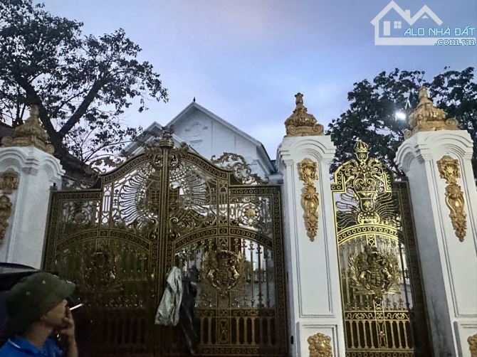 ✨ Biệt Thự Nhà Vườn 724m- Hoài Niệm Cố Hương - Đẳng Cấp - Hưởng Thụ - Tinh Tế - 3