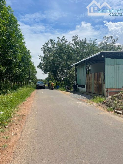 Đất nền xã An Viễn 1 sẹc Phùng Hưng gần kcn Giang Điền, ủy ban, trường học các cấp 1ty1. - 3