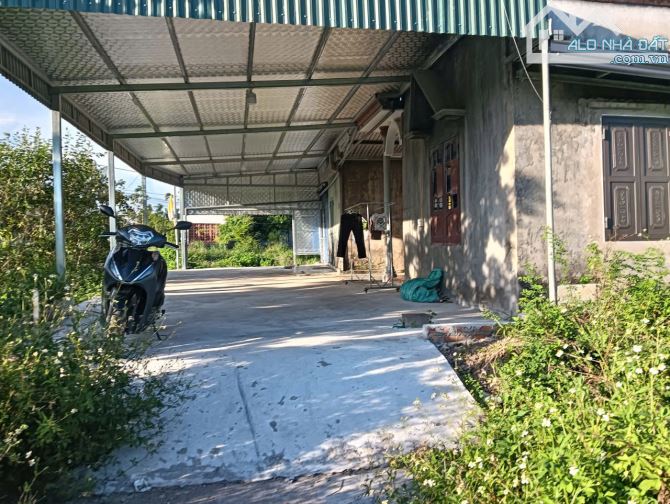 54m2 Ngõ Ô tô đỗ trước đất. Tổ 12, Hoà Nghĩa, Dương Kinh, chỉ nhỉnh 700tr - 3