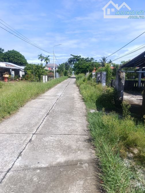 🎉🎉Lô đất 600m2 đất ở và 438m2 đất trồng cây lâu năm ,thích hợp xây căn hộ, khách sạn, Vi - 3