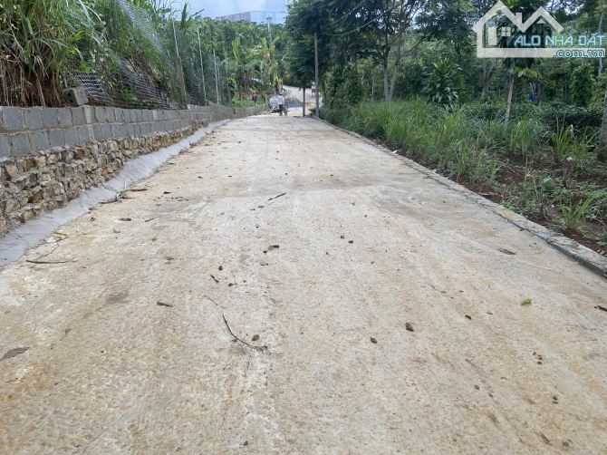 Bán đất chính chủ trung tâm bảo lộc Lâm đồng hợp nhà nghỉ dươxng - 3