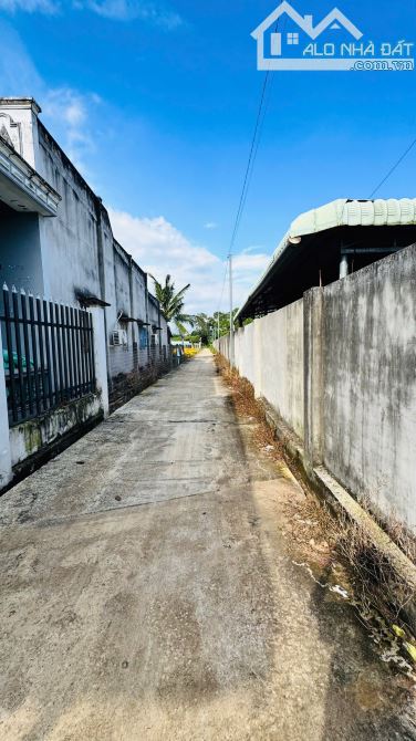 Xã Đất Đỏ tp HCM gần QL 55 Đi biển Lộc An 10p DT 2000M2 có 100tc Ngang siêu rộng 30x60m nở - 3