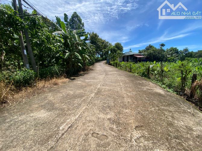 bán 3000m2 đất có sẵn 100m2 thơ cư.có 30m mặt  tiền đường bê tong,dân cư đông đúc giá rẽ - 3