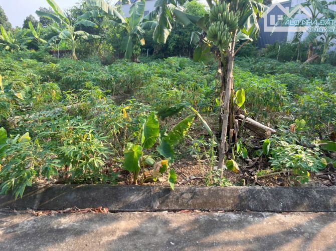Bán đất thổ cư 88m² – thôn Sên Chỉ, Bình Yên, Thạch Thất – đường ô tô tránh – tiềm năng si - 3