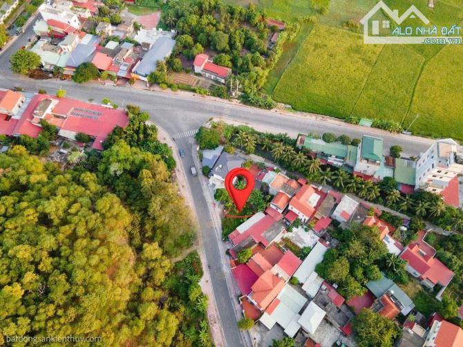 902m mặt đường trục xã Thụy Hương, Kiến Thụy buôn bán tốt - 4