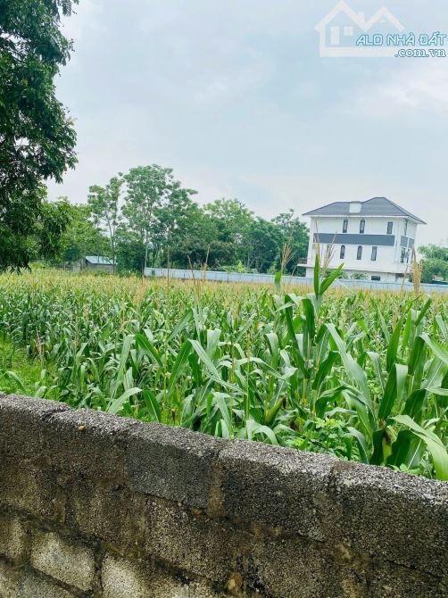 NHƯỢNG LẠI CHO NHÀ ĐẦU TƯ LÔ ĐẤT TẠI THẮNG ĐẦU, PHÚ CÁT, HÀ NỘI VÀNH ĐAI CNC HÒA LẠC - 4