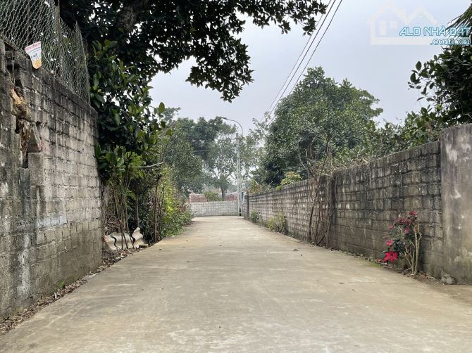 Chính chủ cần bán gấp lô đất 149m2 (6,8x22) tại Thôn Trại hồ, Cổ Đông, Sơn tây. - 4