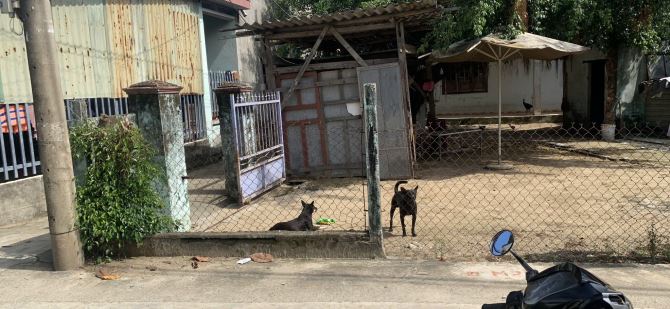 BÁN ĐẤT KIỆT NGUYỄN VĂN CỪ – LÔ GÓC CỰC ĐẸP - GIÁ RẺ - 4