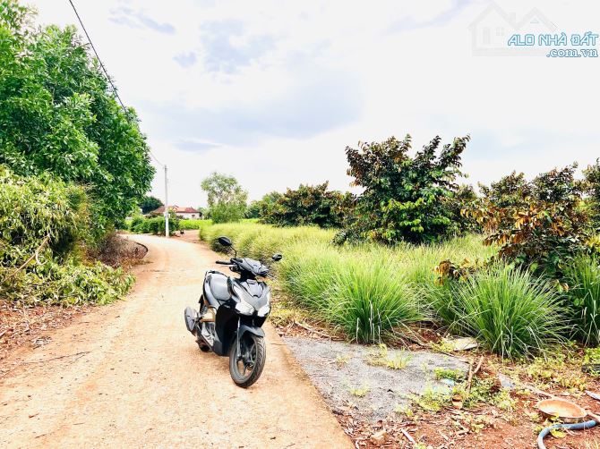 🌈🌈🌈 512m2-100 THỔ TRUNG TÂM ĐẤT ĐỎ-BRVT ( nay xã Đất Đỏ-HCM) 👉 dt 512m2-100 thổ cư-Nga - 4