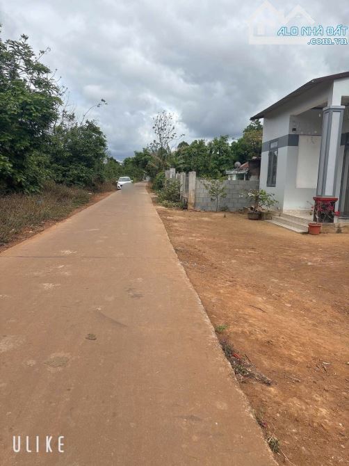 ĐẤT THỔ CƯ MẶT TIỀN ĐƯỜNG BÊ TÔNG RỘNG GIÁ CHỈ 345 TRIỆU - 4