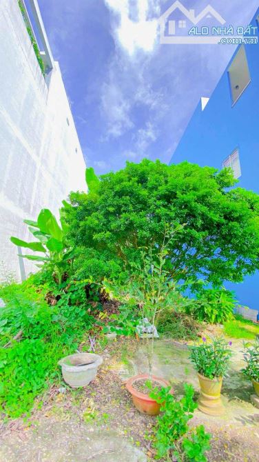 Bán đất 120 m2 trục chính khu Nông Thổ Sản lộ 47 m - 5