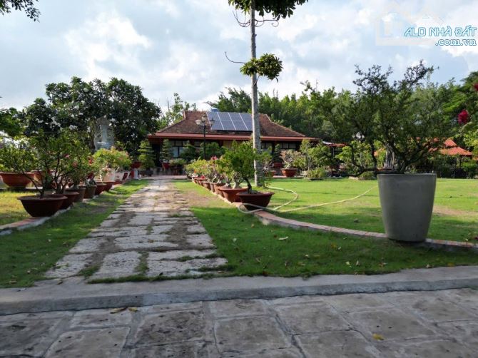 Bán 10000m2 Đất Bình Chánh TPHCM - Sẵn Nhà Vườn Nghĩ Dưỡng - Chỉ 79 Tỉ - 5