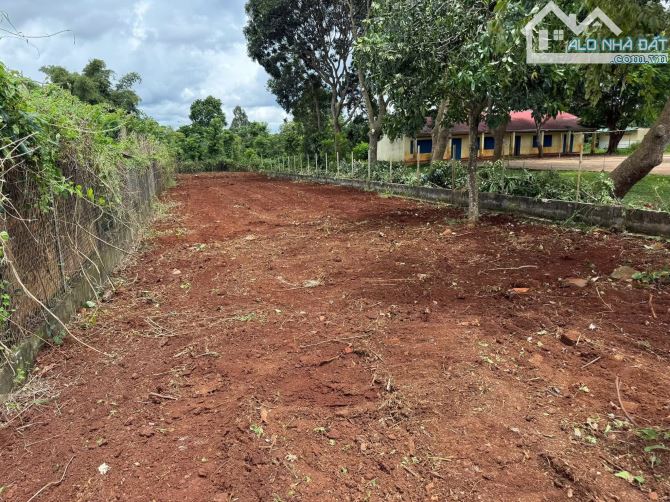 BÁN ĐẤT MẶT TIỀN KINH DOANH- KHU CÔNG NGHIỆP TÂN AN - 5