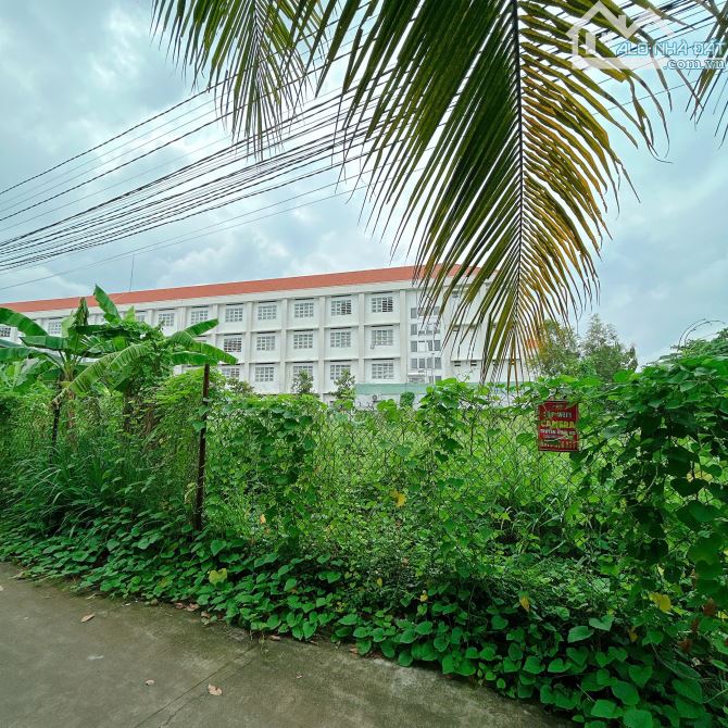 D301 🆘Bán lô đất 140m2 sát trường THCS Tân Phong, P. Tân Phong. 👉Diện tích: 5 x 37m, - 5