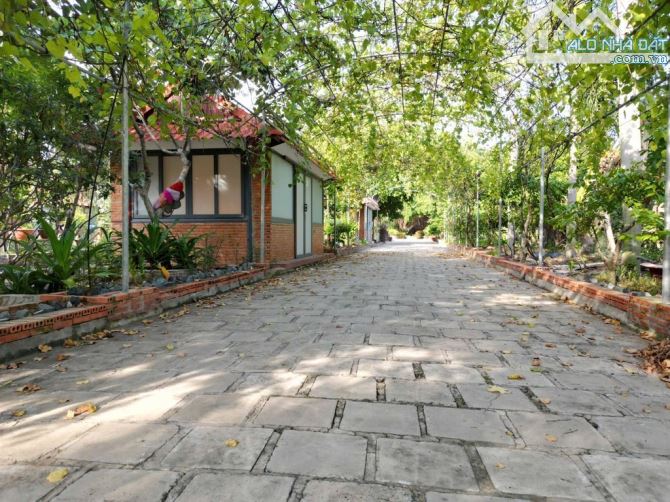 Bán 10000m2 Đất Bình Chánh TPHCM - Sẵn Nhà Vườn Nghĩ Dưỡng - Chỉ 79 Tỉ - 6