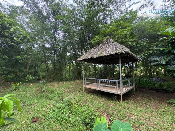 Cần sang nhượng gấp nhà vườn, đất vườn cây trái lâu năm, đường ô tô, giá cực rẻ - 6