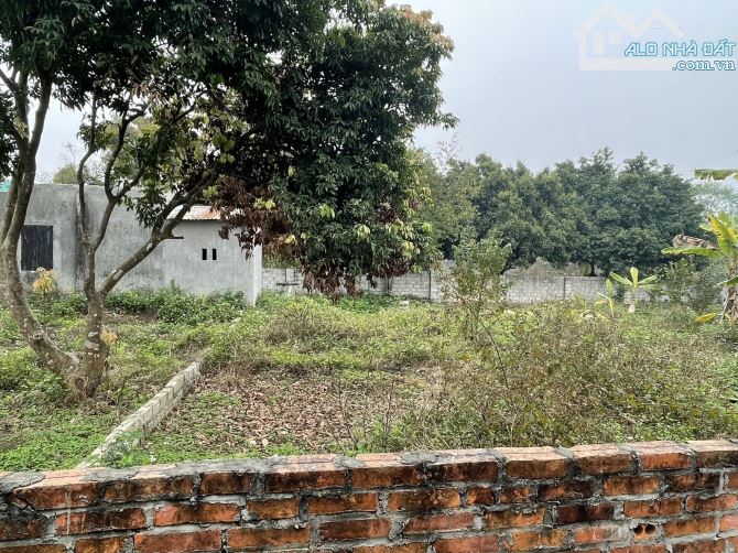 Chính chủ cần bán gấp lô đất 149m2 (6,8x22) tại Thôn Trại hồ, Cổ Đông, Sơn tây. - 6