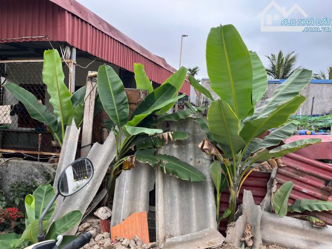 🏡 BÁN LÔ ĐẤT TẠI TÂN VŨ 2, TRÀNG CÁT – HẢI AN – HẢI PHÒNG 🏡 - 6