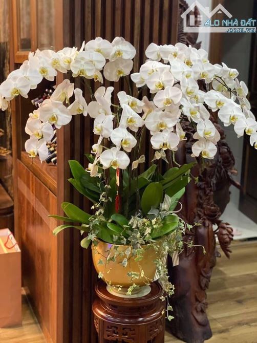 Bán Biệt thự Việt Hưng cạnh trường liên cấp Marie Curi Long Biên nhỉnh 50 tỷ - 7