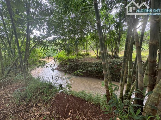 Cần sang nhượng gấp nhà vườn, đất vườn cây trái lâu năm, đường ô tô, giá cực rẻ - 7
