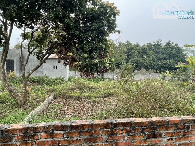Chính chủ cần bán gấp lô đất 149m2 (6,8x22) tại Thôn Trại hồ, Cổ Đông, Sơn tây. - 7