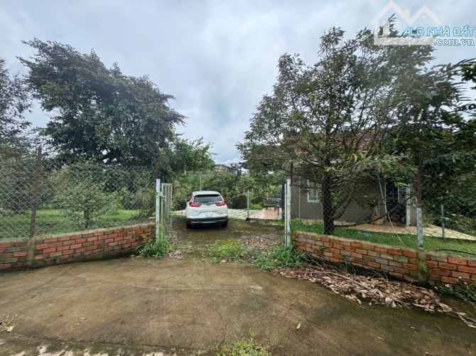 Cần sang nhượng gấp nhà vườn, đất vườn cây trái lâu năm, đường ô tô, giá cực rẻ - 8