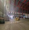 Cho thuê kho 5000m2 Thành Phố Thủ Đức