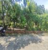🌳ĐẤT 2 MẶT TIỀN -DT: 584M CÓ 561 THỔ- GIÁ: 7 TỈ 3 – AN PHƯỚC, LONG THÀNH 🌳