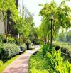 BÁN CCCC PENHOUSE, TÒA CCCC TẠI TOÀ MULBERRY LANE – MỖ LAO, HÀ ĐÔNG, 400M2, 60TR/M2