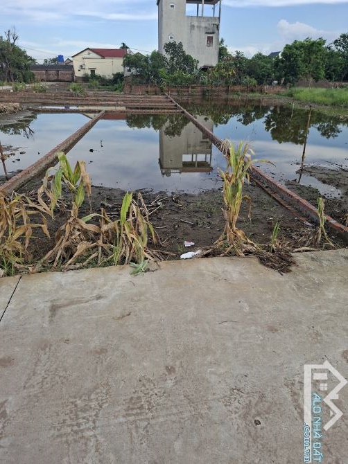 🔥RẺ ĐẸP – BÁN ĐẤT NHẤT TRAI –MINH TÂN-  LƯƠNG TÀI – Ô TÔ TRÁNH – 99M² – CHỈ 1.X TỶ🔥
