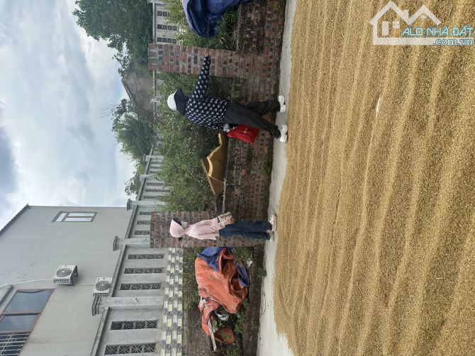 💥💥CHÍNH CHỦ CẦN SANG NHƯỢNG MẢNH ĐẤT ĐẸP MẶT TIỀN QUYỂN LỰC PHÂN THÀNH 2LÔ ĐƯỢC 19tr/1m2