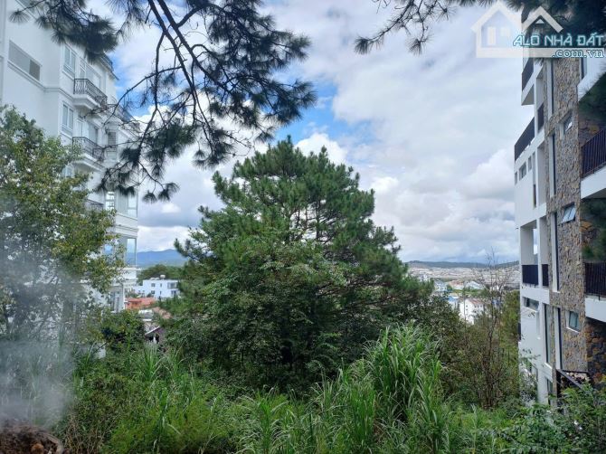Đất biệt thự 1.488m2 mặt tiền đường nhựa,View thung lũng và rừng thông trước đất