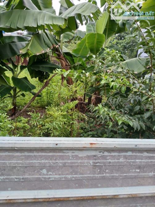 - Đất Thổ Cư, đường 8m, Thạnh lộc 19- chợ Cầu Đồng,Thạnh Lộc Q12,dt:72m2 (4mx18m),4.3tỷ.