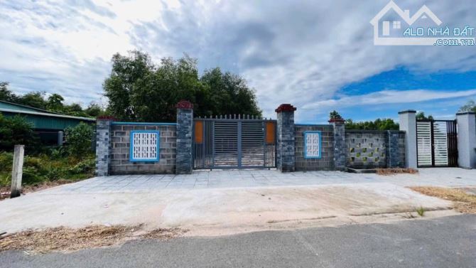 Bán Đất Biển Phước Hải 500m2 Khu Toàn Nhà Vườn Siêu Đẹp - Dân Cư Đông