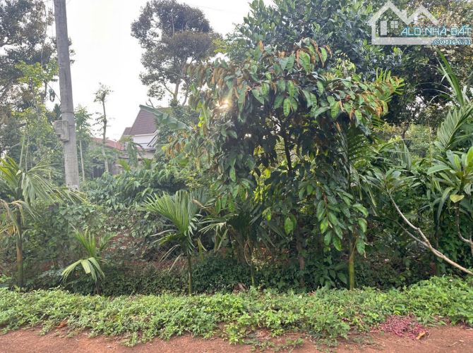 💥💥BUÔN NAO A Nguyễn Xuân Nguyên Ngay trường học Trục đường Qh 24m thuộc phường Tân An
