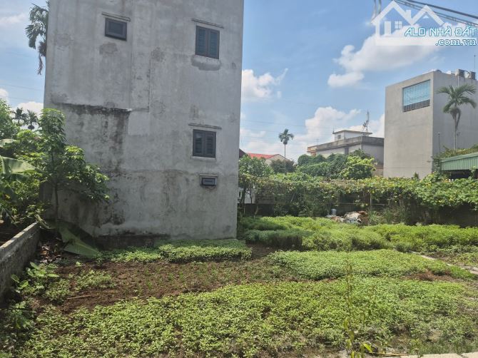 🔥 BÁN ĐẤT CAM LỘ – HÙNG VƯƠNG, HỒNG BÀNG | NGAY SAU TRƯỜNG CẤP 1 HÙNG VƯƠNG | GIÁ CHỈ 1,5